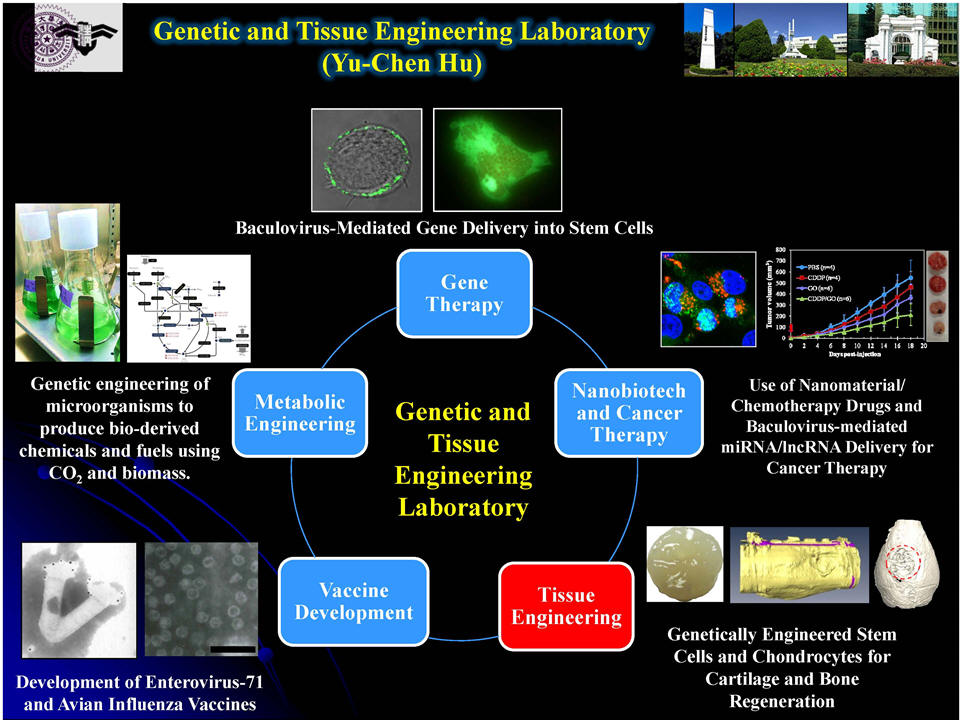 Research areas