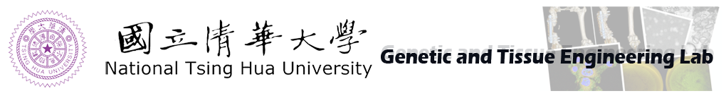 logo2